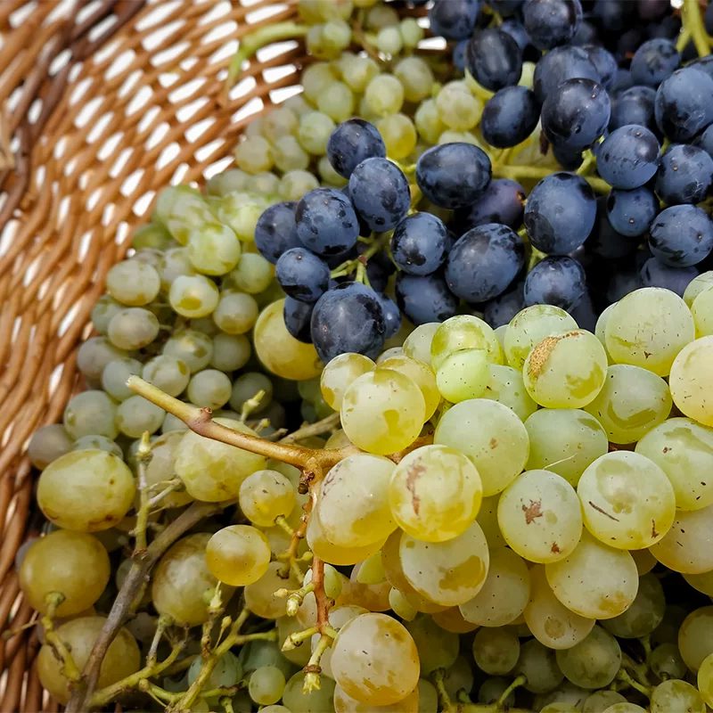 tuscany-italy-wine-6